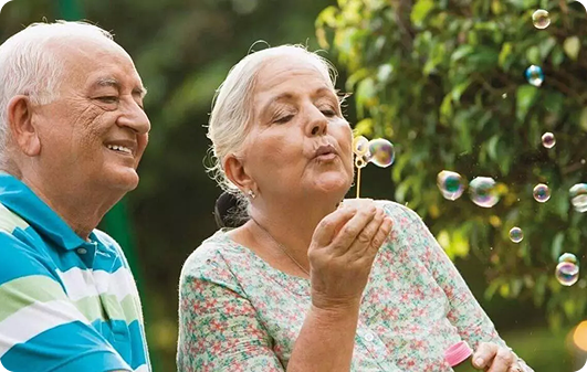 dental health
